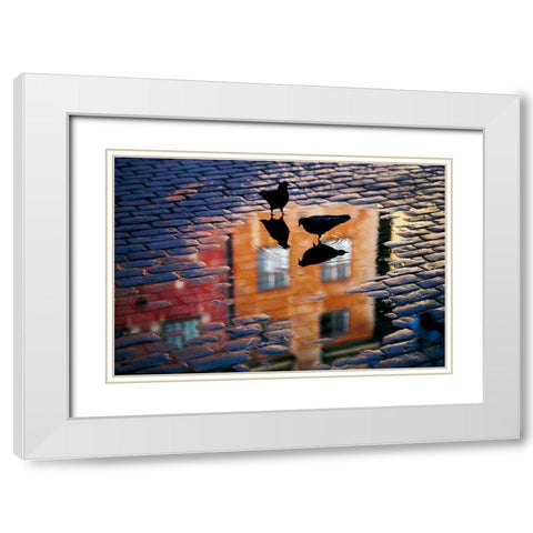 Pigeons White Modern Wood Framed Art Print with Double Matting by Wallberg, Allan