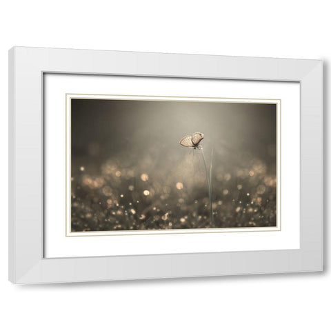 Dream Light White Modern Wood Framed Art Print with Double Matting by Pamungkas, Edy
