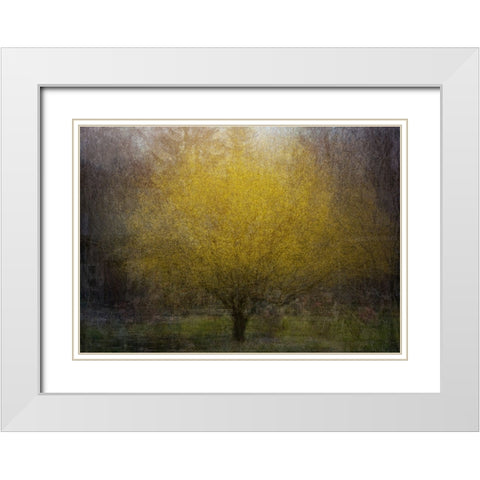 Town Square White Modern Wood Framed Art Print with Double Matting by Holmstrom, Katarina