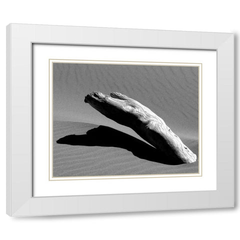 Ergo White Modern Wood Framed Art Print with Double Matting by Abramovici, Miron