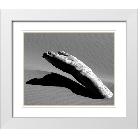 Ergo White Modern Wood Framed Art Print with Double Matting by Abramovici, Miron