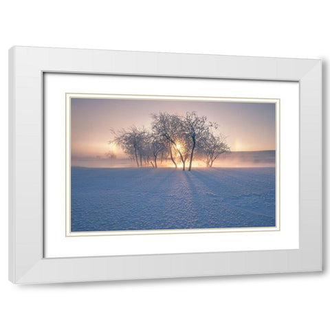 Swan Lake White Modern Wood Framed Art Print with Double Matting by Z, Bingo