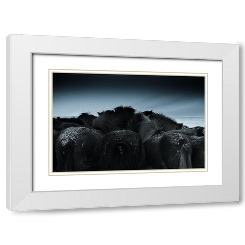 Cold Weather White Modern Wood Framed Art Print with Double Matting by Z, Bingo