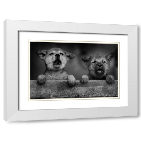 Aa White Modern Wood Framed Art Print with Double Matting by Mp, Hendy