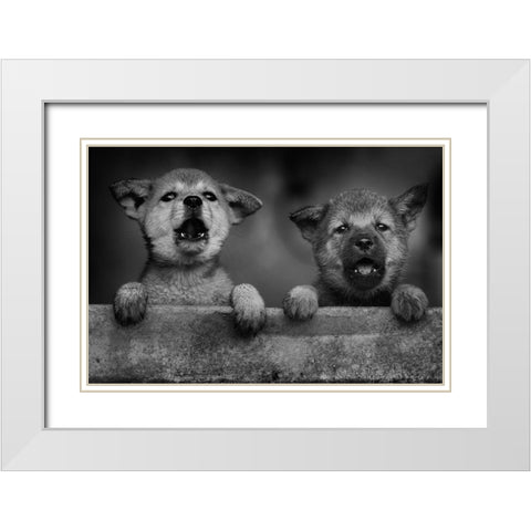 Aa White Modern Wood Framed Art Print with Double Matting by Mp, Hendy