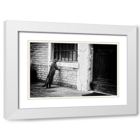 The Cat White Modern Wood Framed Art Print with Double Matting by Vegh, Izabella