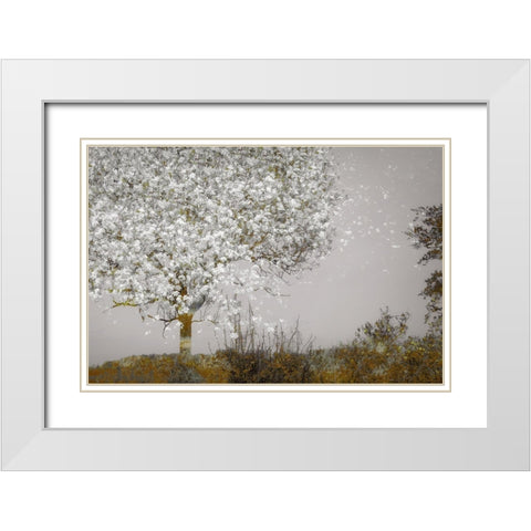 Fruit Tree White Modern Wood Framed Art Print with Double Matting by Talen, Nel