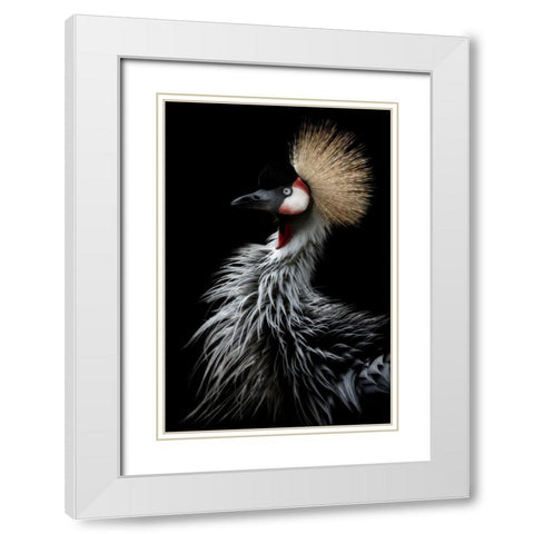 Crowned Cranes Portrait White Modern Wood Framed Art Print with Double Matting by Itoyama, Eiji