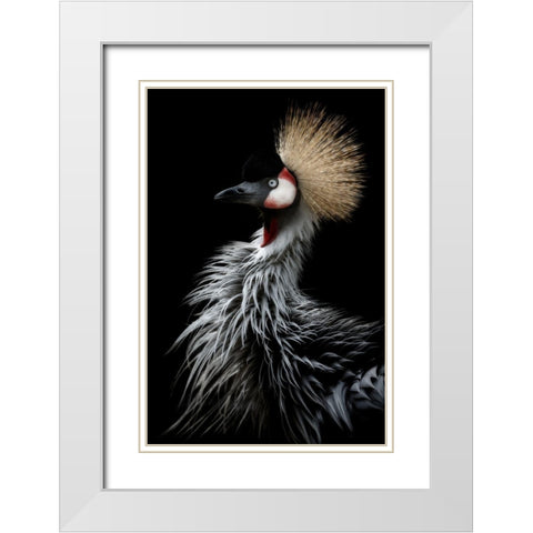 Crowned Cranes Portrait White Modern Wood Framed Art Print with Double Matting by Itoyama, Eiji