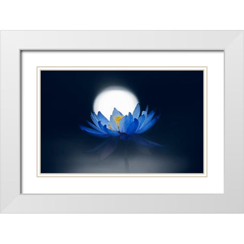 Fleeting Dream White Modern Wood Framed Art Print with Double Matting by Suzuki, Takashi