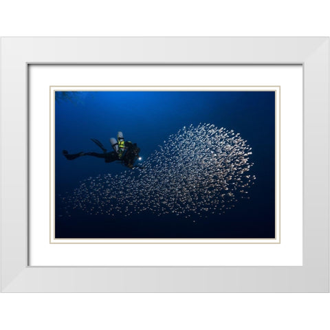 Alvin Shoal White Modern Wood Framed Art Print with Double Matting by Gabriel, Barathieu