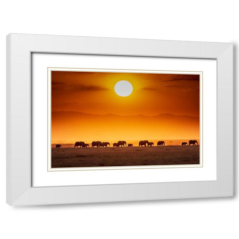 Sunrise Parade White Modern Wood Framed Art Print with Double Matting by C. Sink, Jeffrey