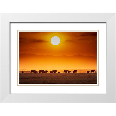 Sunrise Parade White Modern Wood Framed Art Print with Double Matting by C. Sink, Jeffrey