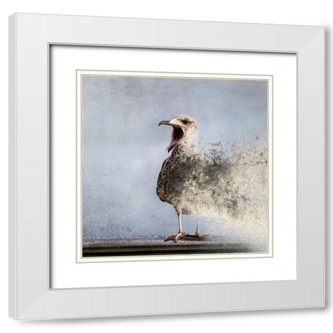 Waterbird White Modern Wood Framed Art Print with Double Matting by Flour, Bruno