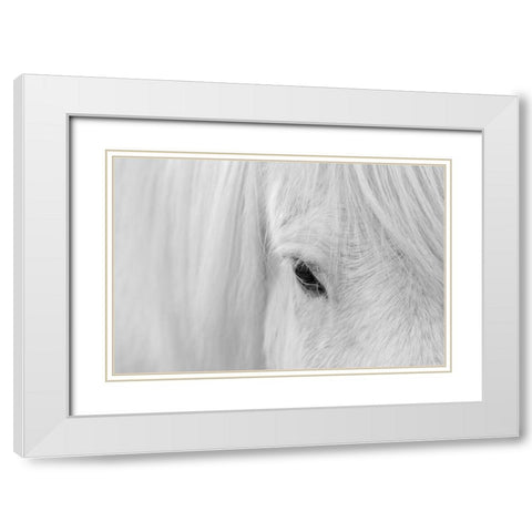 Whisper Of Iceland White Modern Wood Framed Art Print with Double Matting by Fan, John