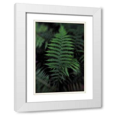 Soft Leaf White Modern Wood Framed Art Print with Double Matting by Walsh, Claire