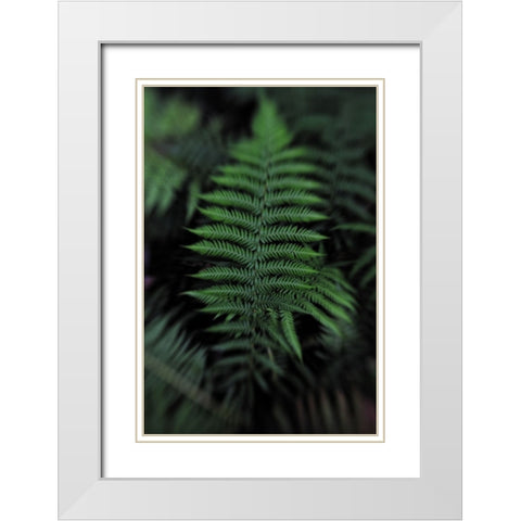 Soft Leaf White Modern Wood Framed Art Print with Double Matting by Walsh, Claire