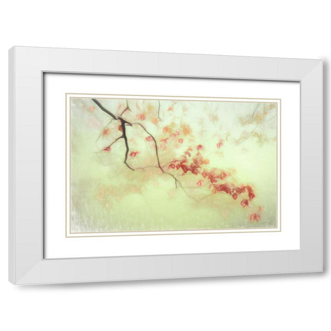 Luce Dorata White Modern Wood Framed Art Print with Double Matting by Claes, Gilbert