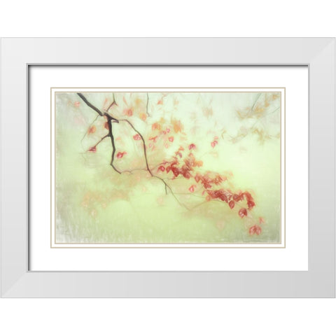 Luce Dorata White Modern Wood Framed Art Print with Double Matting by Claes, Gilbert