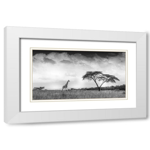 And I Dreamed Of Africa White Modern Wood Framed Art Print with Double Matting by C. Sink, Jeffrey