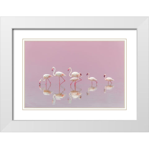 Flamingos White Modern Wood Framed Art Print with Double Matting by Itoyama, Eiji
