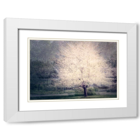 Apple Tree White Modern Wood Framed Art Print with Double Matting by Holmstrom, Katarina