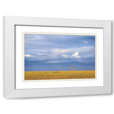 Colors Of Freedom White Modern Wood Framed Art Print with Double Matting by Itoyama, Eiji