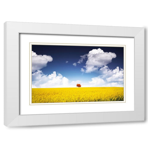 Canola Meadow White Modern Wood Framed Art Print with Double Matting by Hamiti, Bess