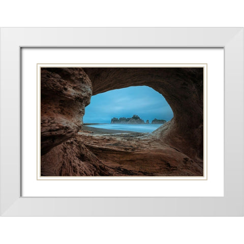 View From A Hollow Tree White Modern Wood Framed Art Print with Double Matting by Jacobs, Lydia