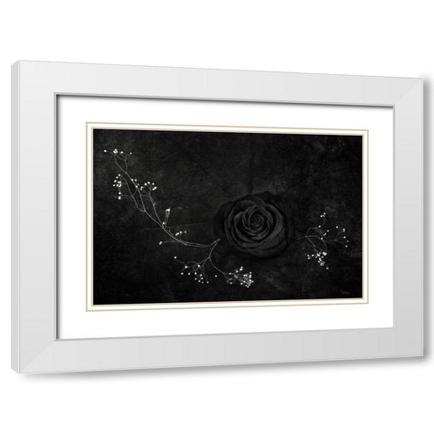 Rose Noire White Modern Wood Framed Art Print with Double Matting by Clough, Stephen