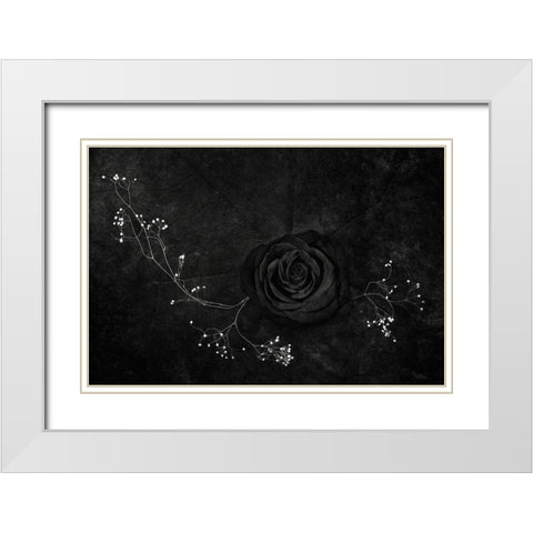 Rose Noire White Modern Wood Framed Art Print with Double Matting by Clough, Stephen