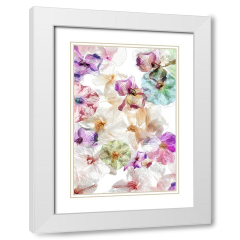 Ghost Orchids White Modern Wood Framed Art Print with Double Matting by Shumilova, Ludmila