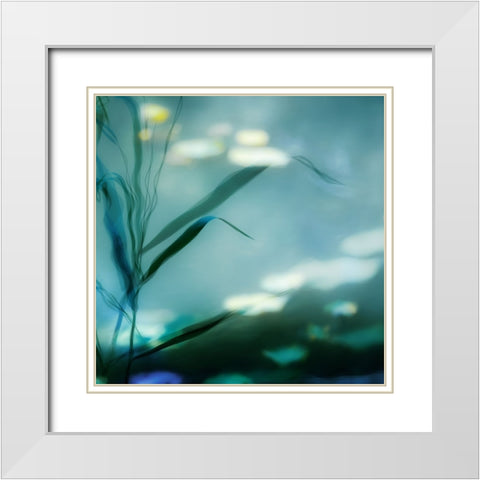 Ripples In Suzhou White Modern Wood Framed Art Print with Double Matting by Flour, Piet