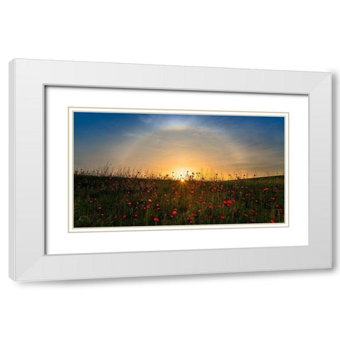 Red Poppies And Sunrise White Modern Wood Framed Art Print with Double Matting by Zhu, Hua