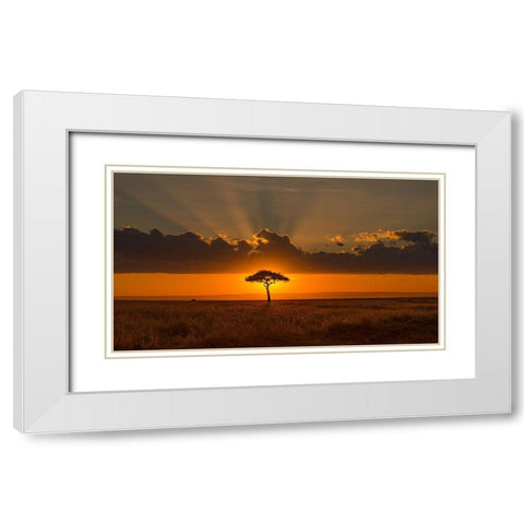 Behind The Acacia Tree White Modern Wood Framed Art Print with Double Matting by Yu, Tony