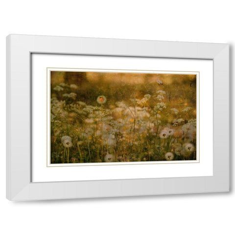 Dandelion Dreams White Modern Wood Framed Art Print with Double Matting by Devos, Delphine