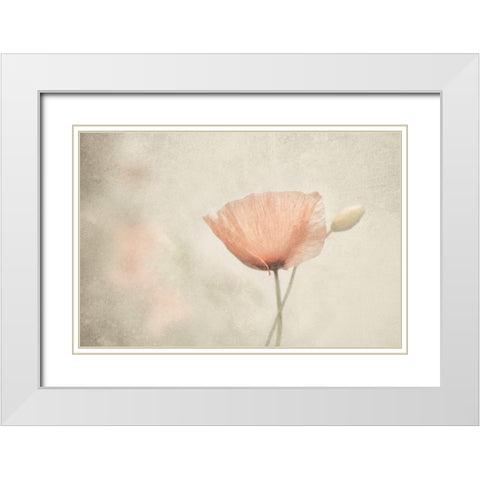 Jewel Of Nature White Modern Wood Framed Art Print with Double Matting by Claes, Gilbert