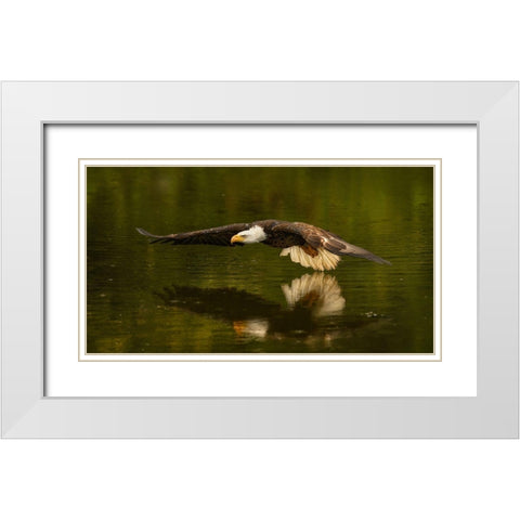 The Reflective Pond White Modern Wood Framed Art Print with Double Matting by Breau, Susan
