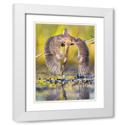 Azulada Pescando White Modern Wood Framed Art Print with Double Matting by Ruggeri, Andres