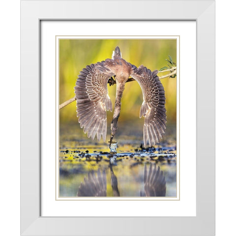 Azulada Pescando White Modern Wood Framed Art Print with Double Matting by Ruggeri, Andres