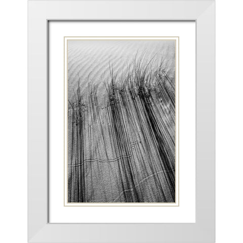Dune # 7 White Modern Wood Framed Art Print with Double Matting by Rousse, Pascal
