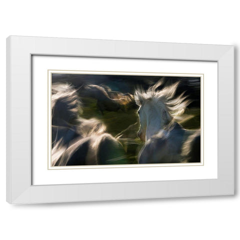 Esata Equina White Modern Wood Framed Art Print with Double Matting by Malovrh, Milan