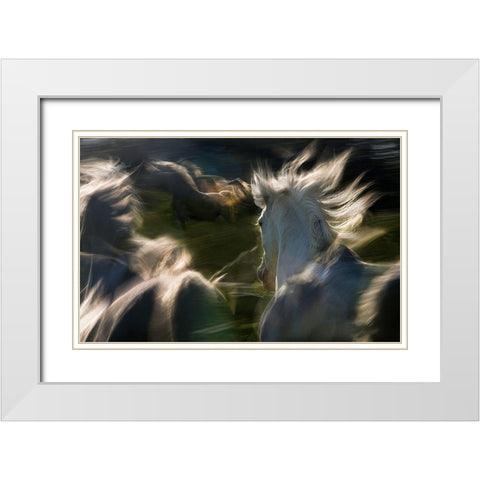 Esata Equina White Modern Wood Framed Art Print with Double Matting by Malovrh, Milan