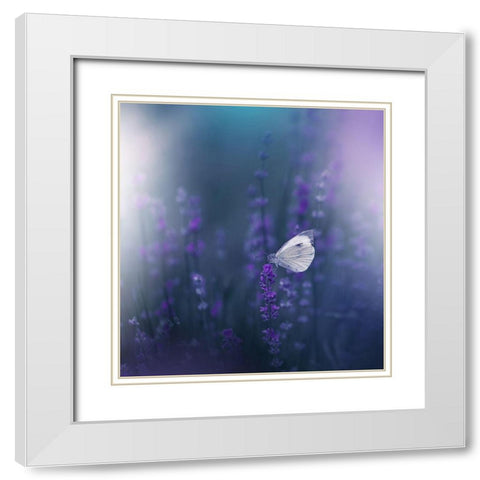Lavender Queen... White Modern Wood Framed Art Print with Double Matting by Nan, Juliana