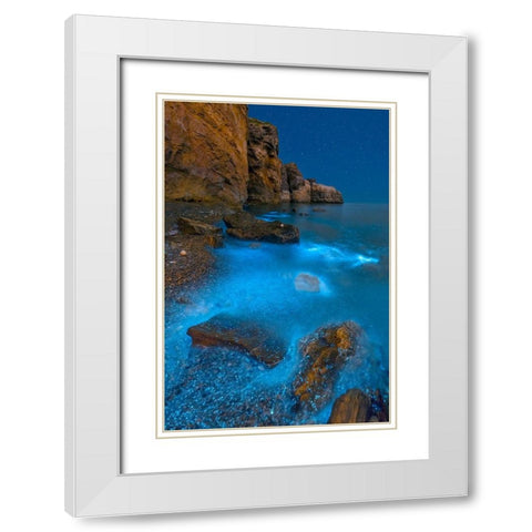 Bioluminescent Bay White Modern Wood Framed Art Print with Double Matting by Zhu, Hua