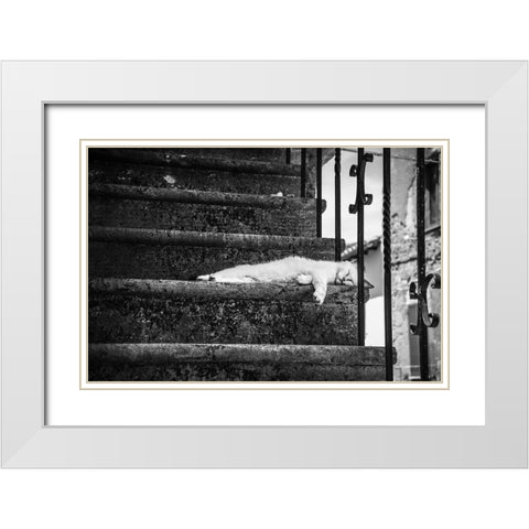 Slow Life White Modern Wood Framed Art Print with Double Matting by Polo, Piera