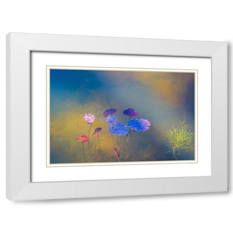 Water Life White Modern Wood Framed Art Print with Double Matting by De Laat, Bernardine