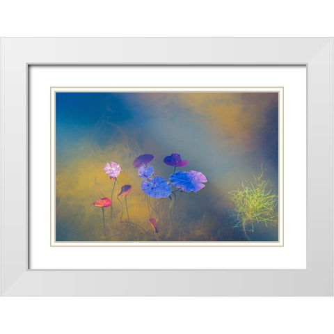 Water Life White Modern Wood Framed Art Print with Double Matting by De Laat, Bernardine