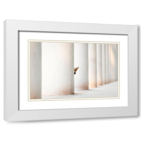 Bella - And The Pillars Of The Earth... White Modern Wood Framed Art Print with Double Matting by Willers, Heike