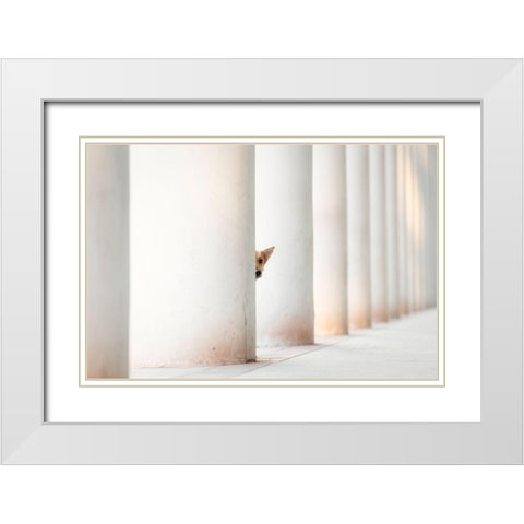 Bella - And The Pillars Of The Earth... White Modern Wood Framed Art Print with Double Matting by Willers, Heike